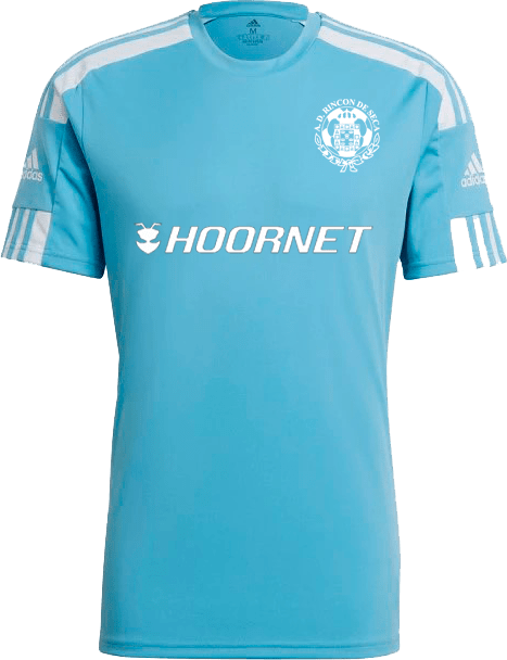 Camiseta juego 2023 2024 Hoornet
