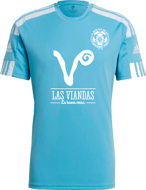 Camiseta juego 2023 2024 Las Viandas