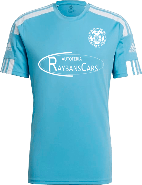 Camiseta juego 2023 2024 Raybans Cars